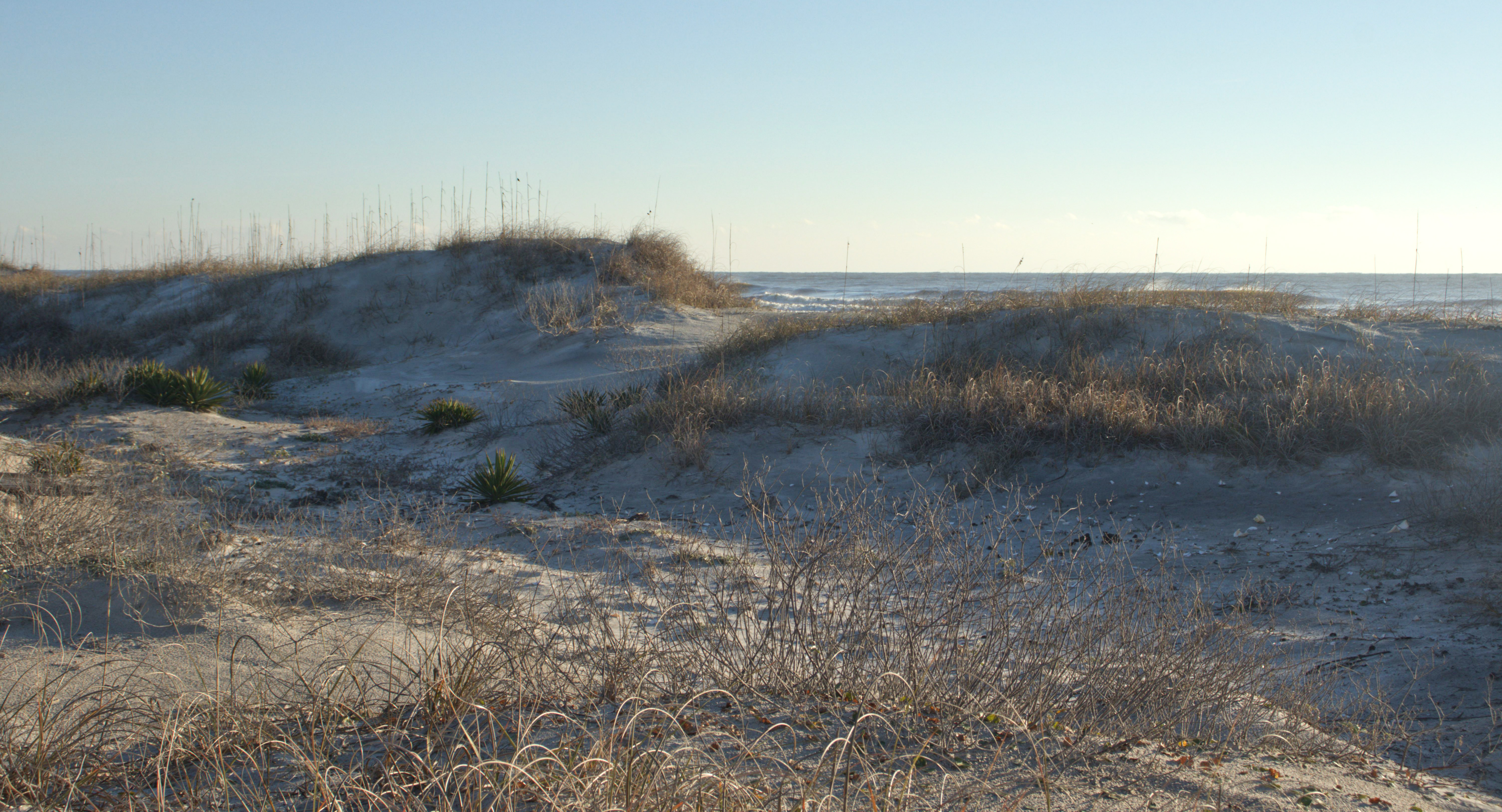 White, grassy sand dunes beneath a blue sky